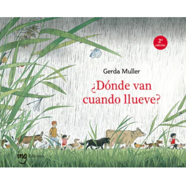 ¿Dónde van cuando llueve? (2° ed.)