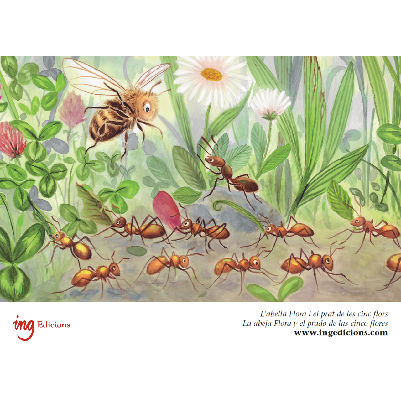 Postal "La abeja Flora y el prado de las cinco flores" (hormigas)